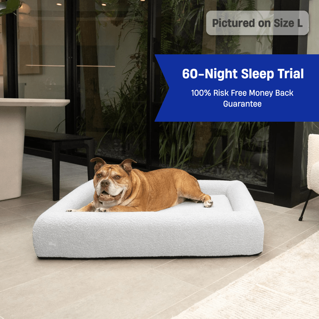 Memory Foam Best Odor Resistant Dog Bed Gorilla Tough Orthopedic