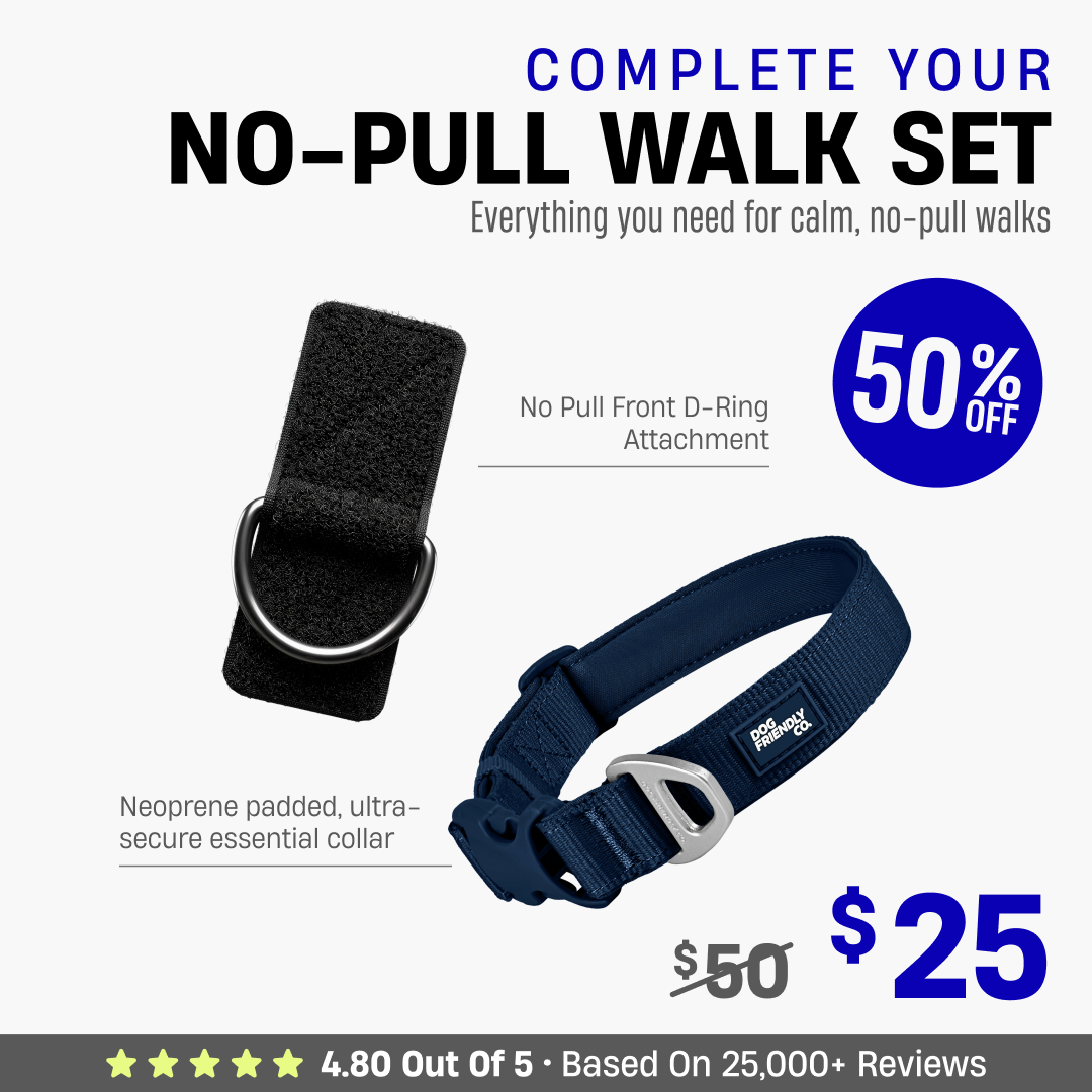 Complete Your No-Pull Walk Set