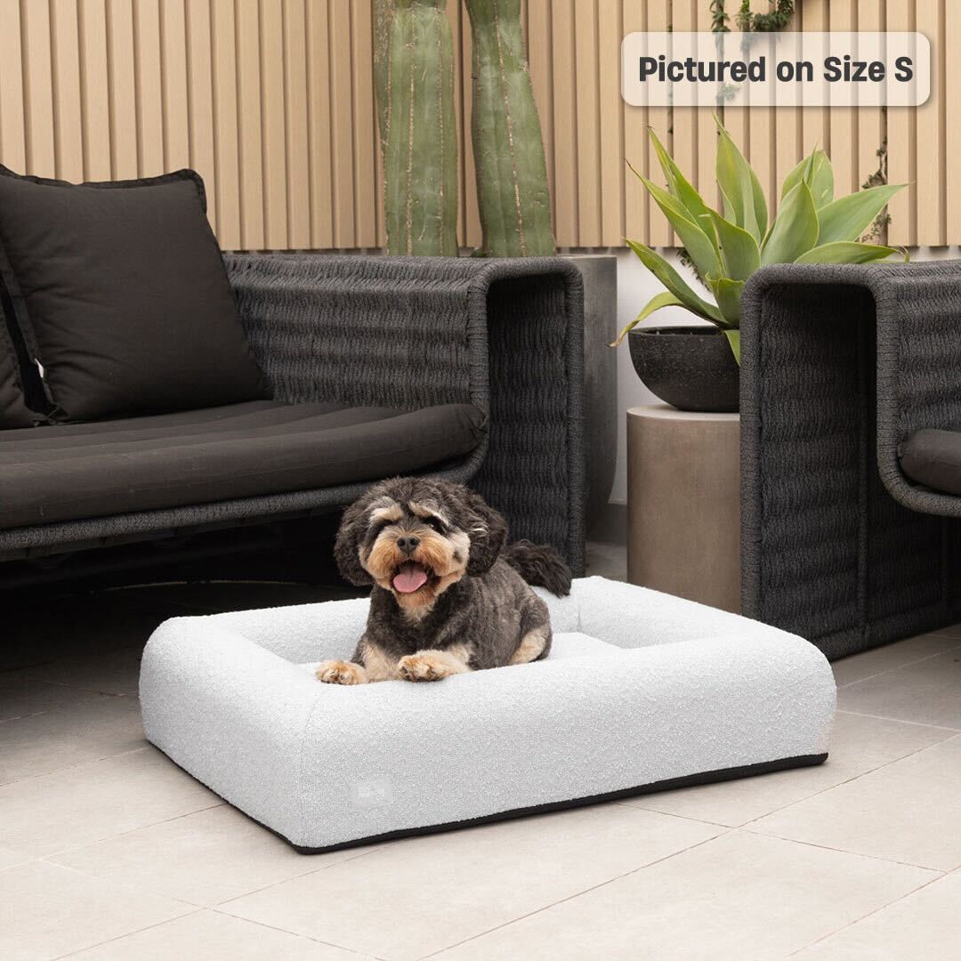 B&m Retail Plastic Dog Beds B&m Memory Foam Dog The Big