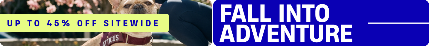 Promotional banner