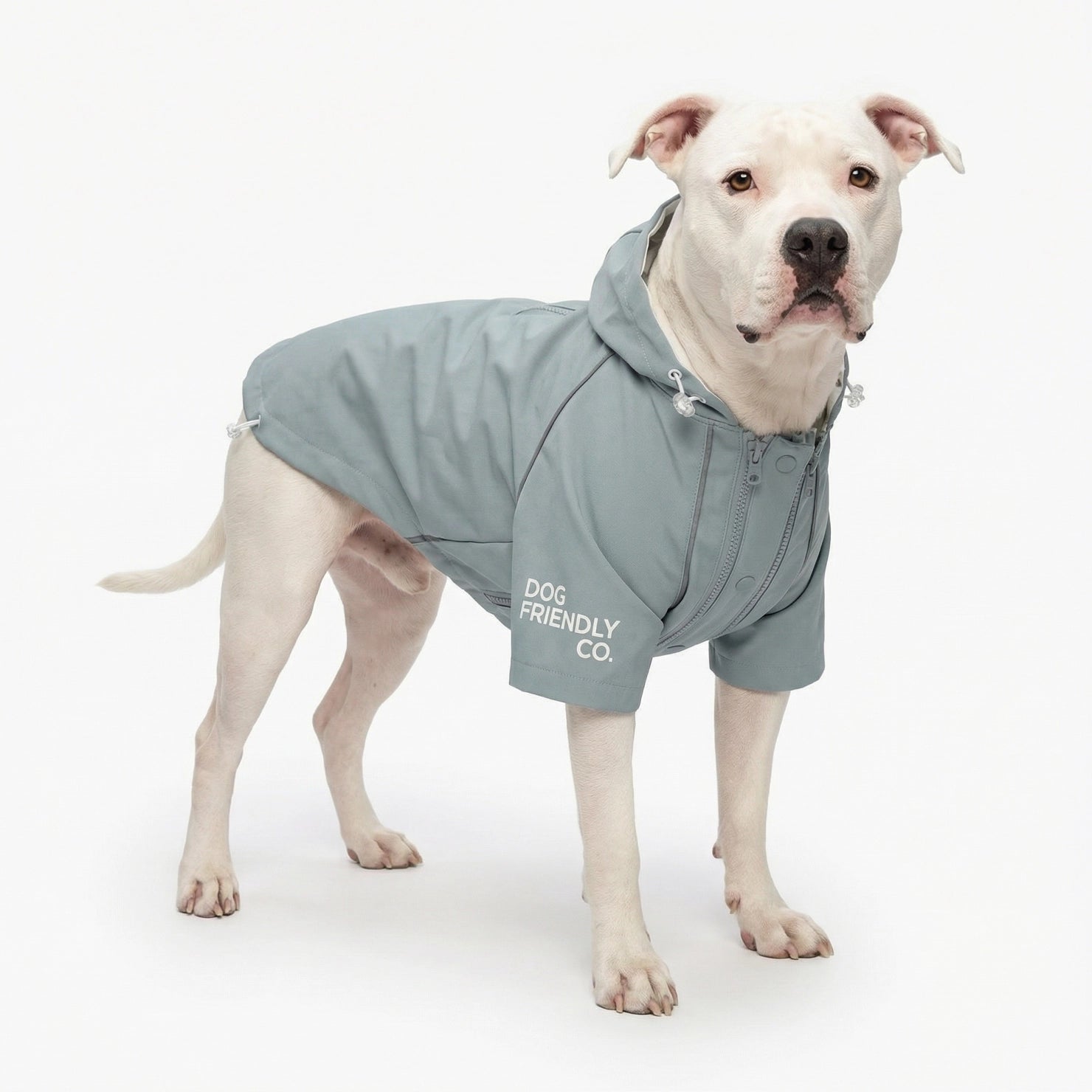 Storm Pro Dog Raincoat - Grey – Dog Friendly Co.