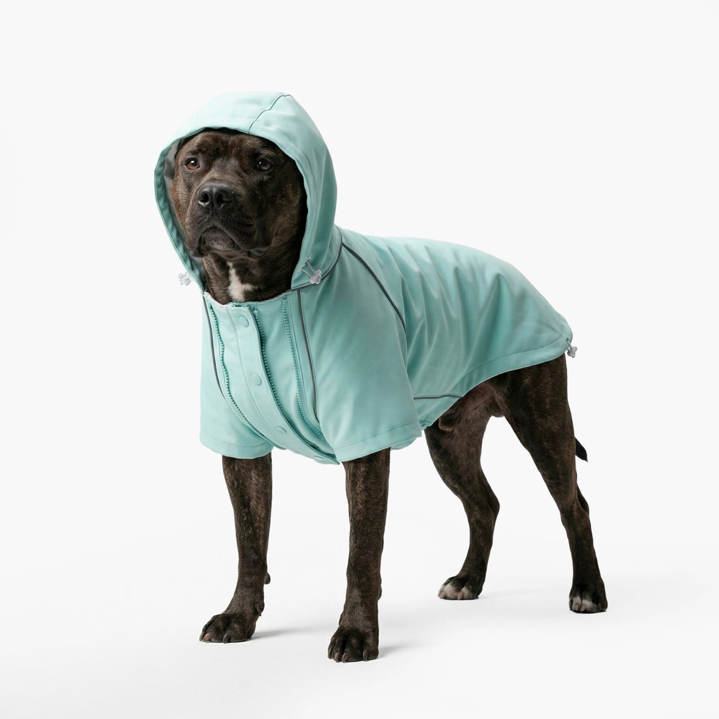 canine rain gear Dog Storm Pro Dog Raincoat AVAILABLE_AT_Liquid-Life Store Brilon This breed Farbe:Vert Die 7 besten Herren-Fahrradhelme