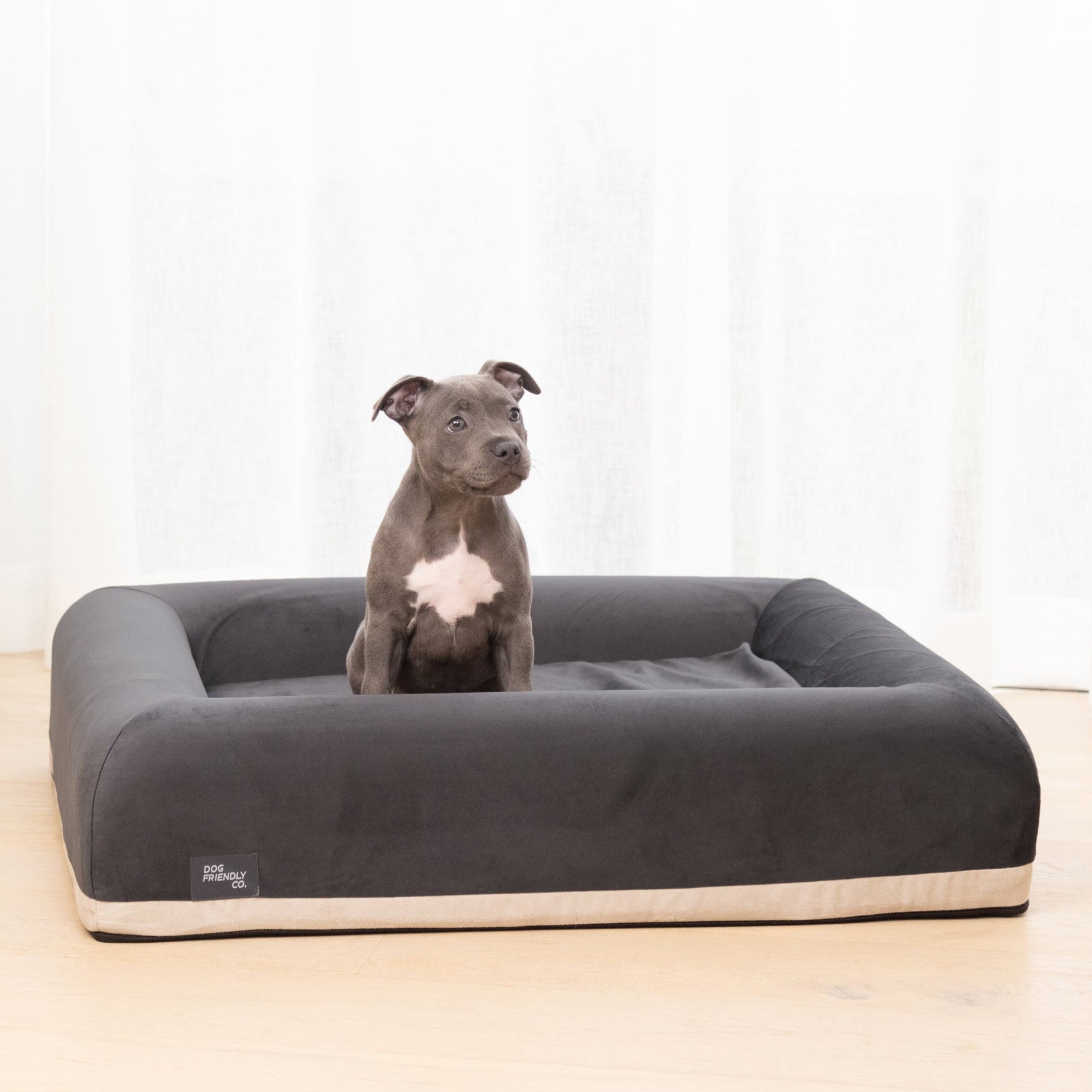 Pet Supplies Vibrant Life Dog Bed Pet Bed Vibrant Life Orthopedic