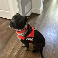 Customer photo from julia rambler’s review