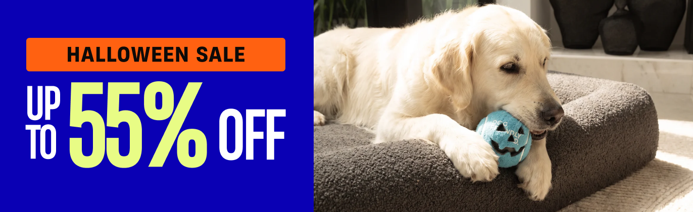 Halloween Sale: up to 55% off. Shop the sale