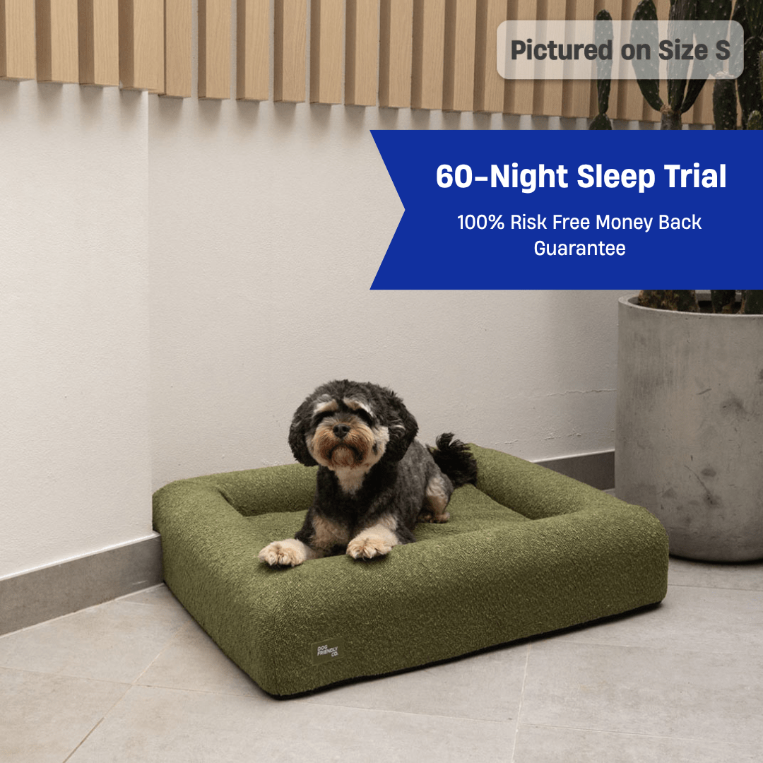 Premium Orthopedic Memory Foam Dog Bed - Green Bouclé (Medium)