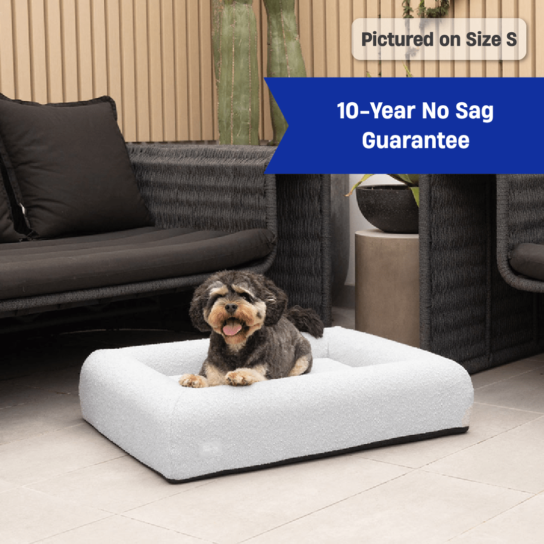 Premium Orthopedic Memory Foam Dog Bed - Grey Bouclé (Small)