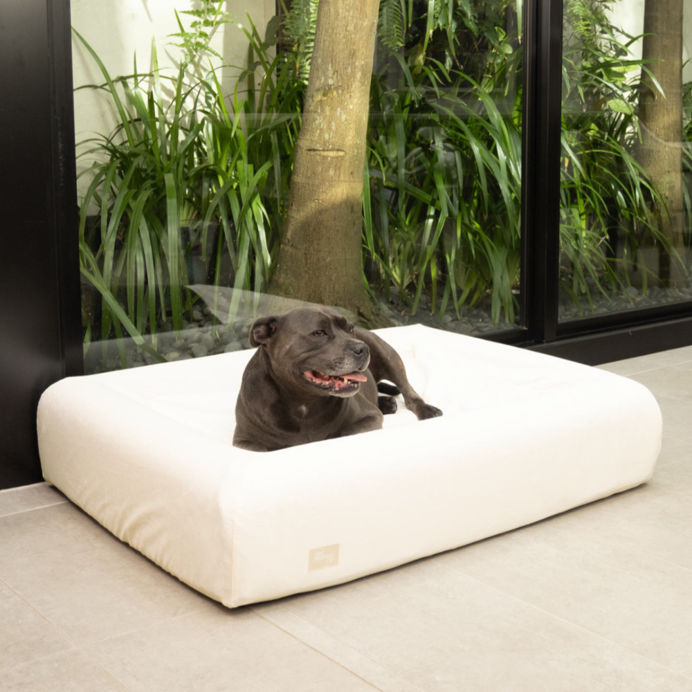 Velvet Easy Fit Dog Bed Cover - Beige