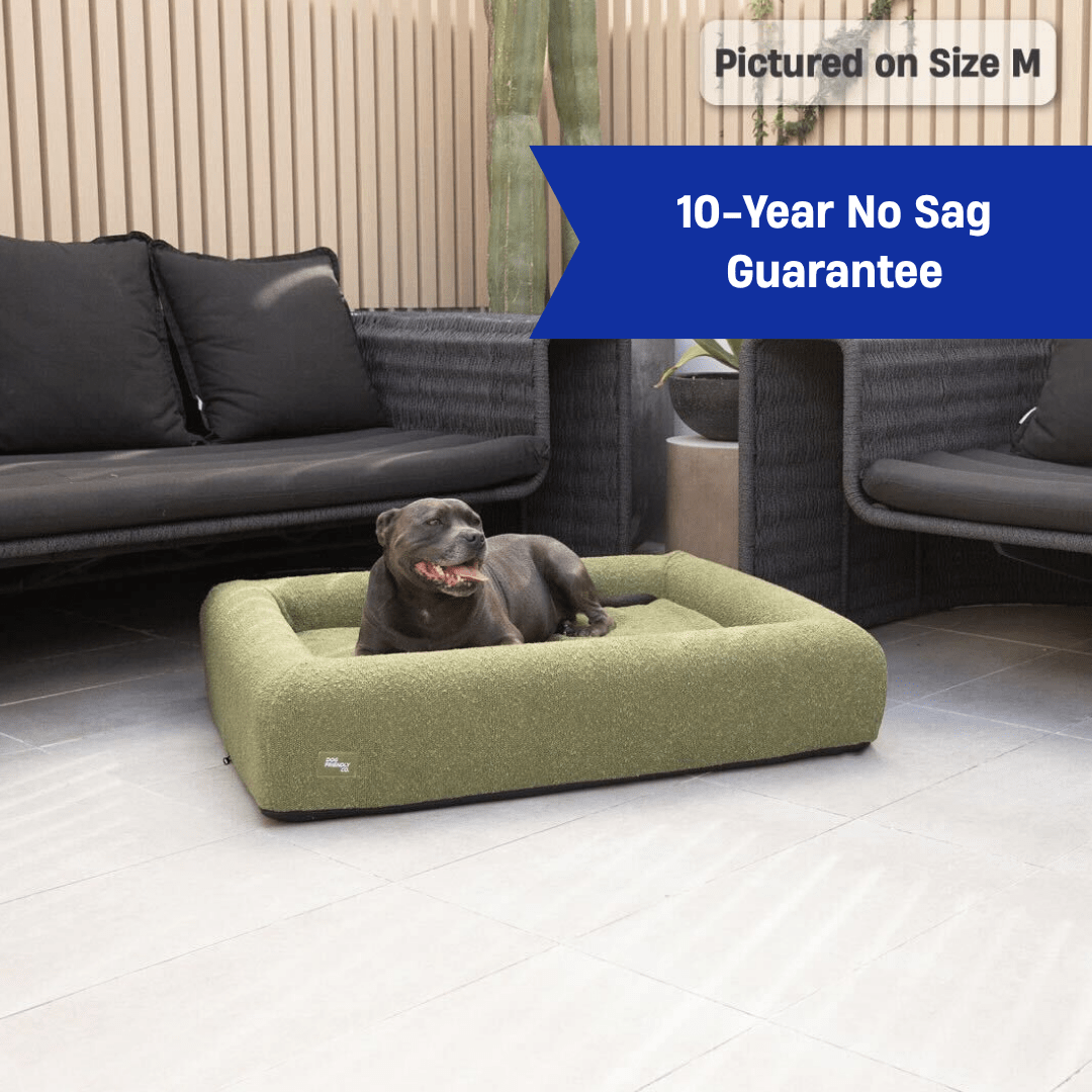 Premium Orthopedic Memory Foam Dog Bed - Green Bouclé (Medium)