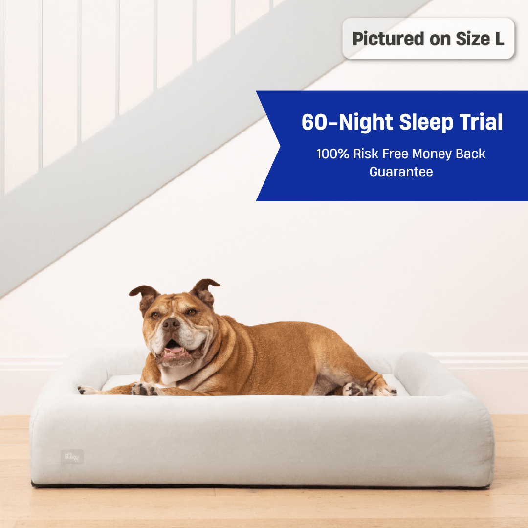 Picture Idea: Premium Orthopedic Memory Foam Dog Bed Grey Large