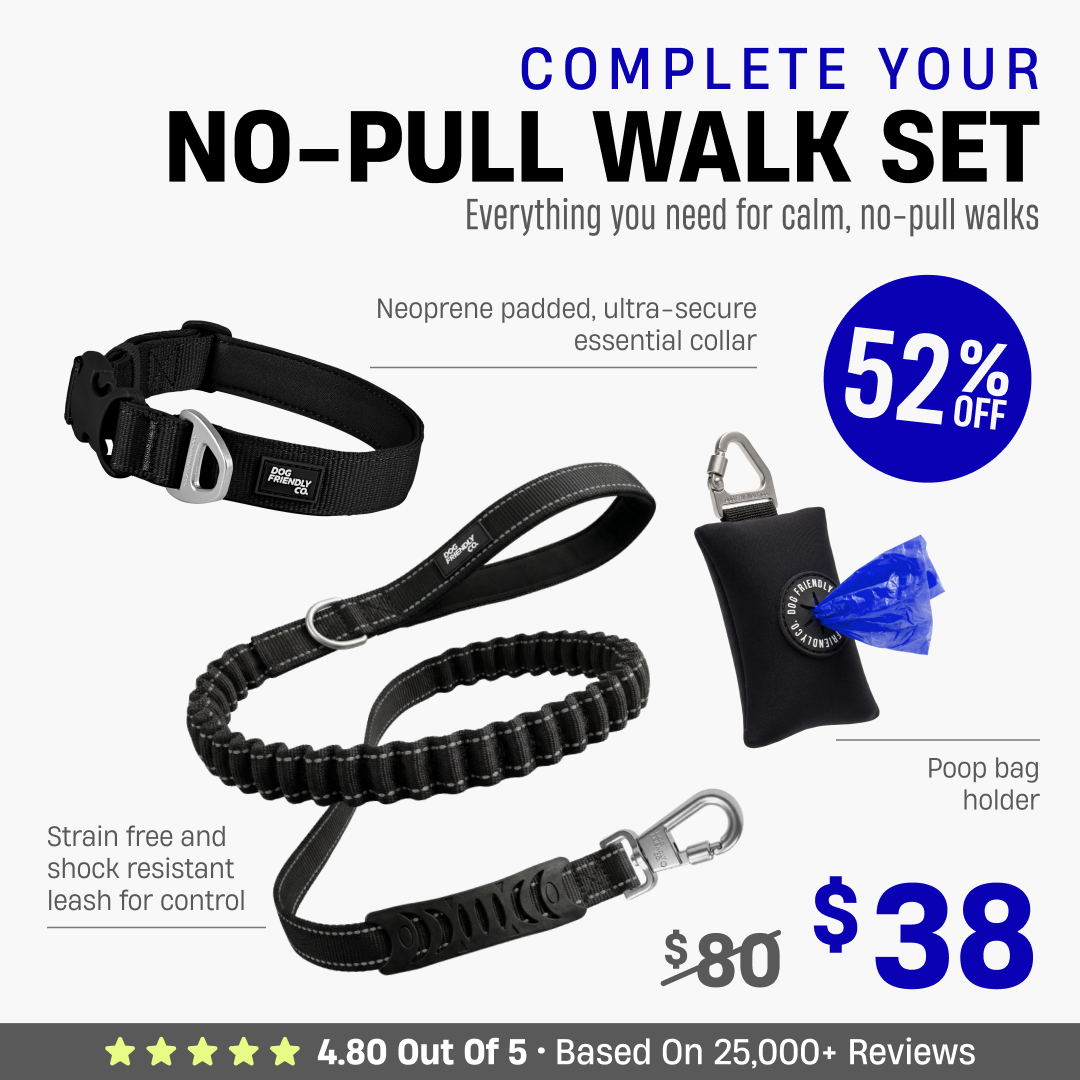 Complete Your No-Pull Walk Set + FREE GIFT