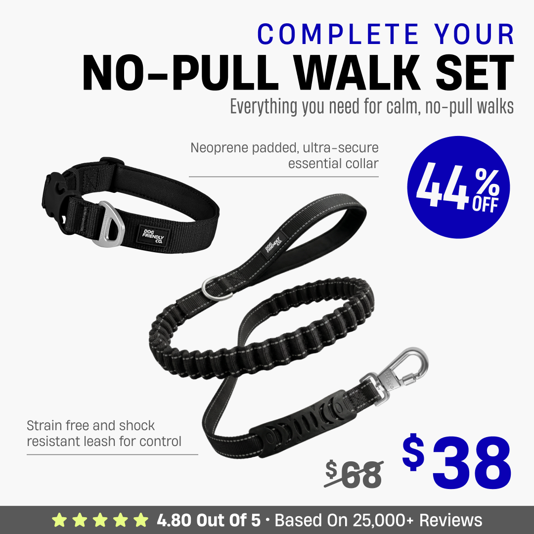 Complete Your No-Pull Walk Set