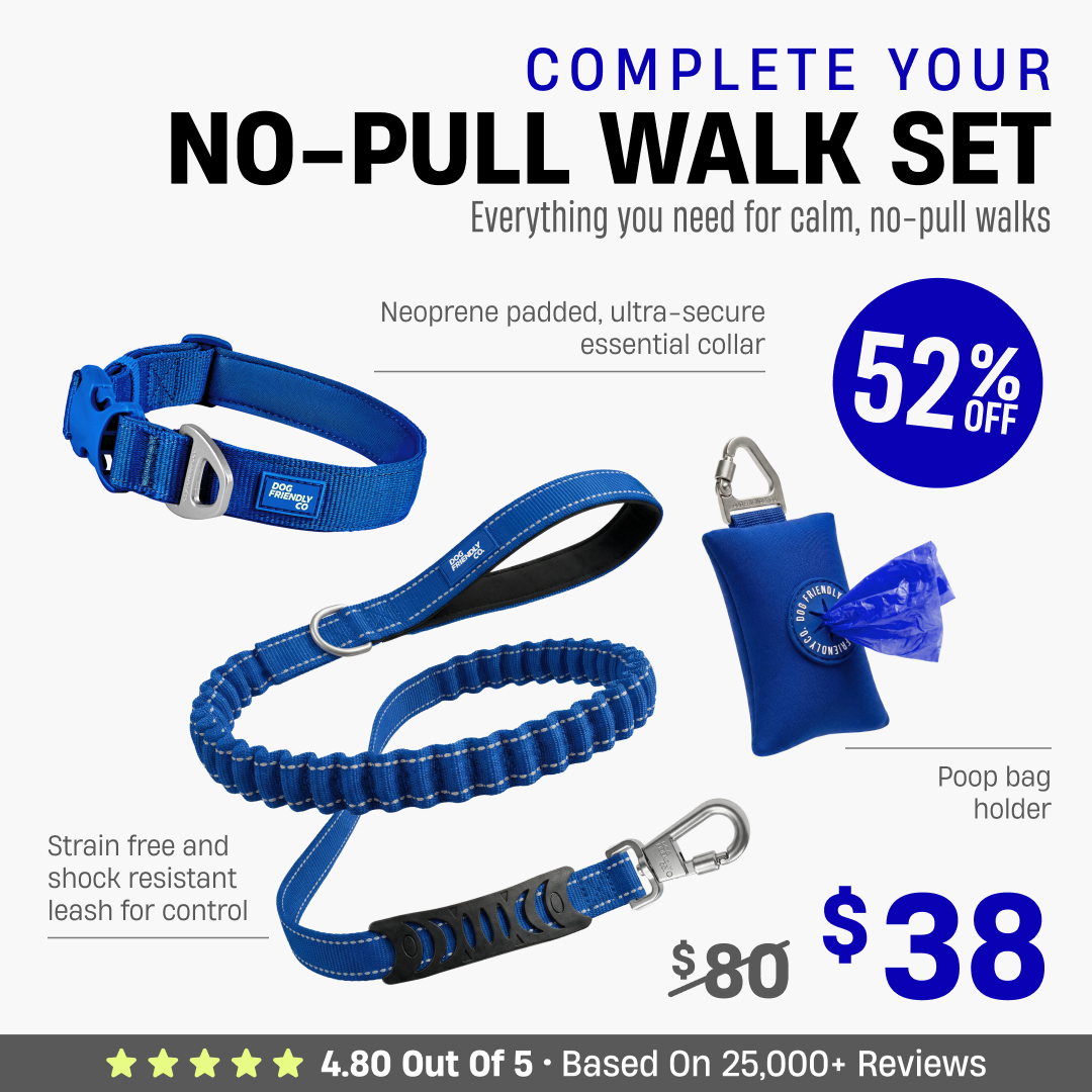 Complete Your No-Pull Walk Set + FREE GIFT