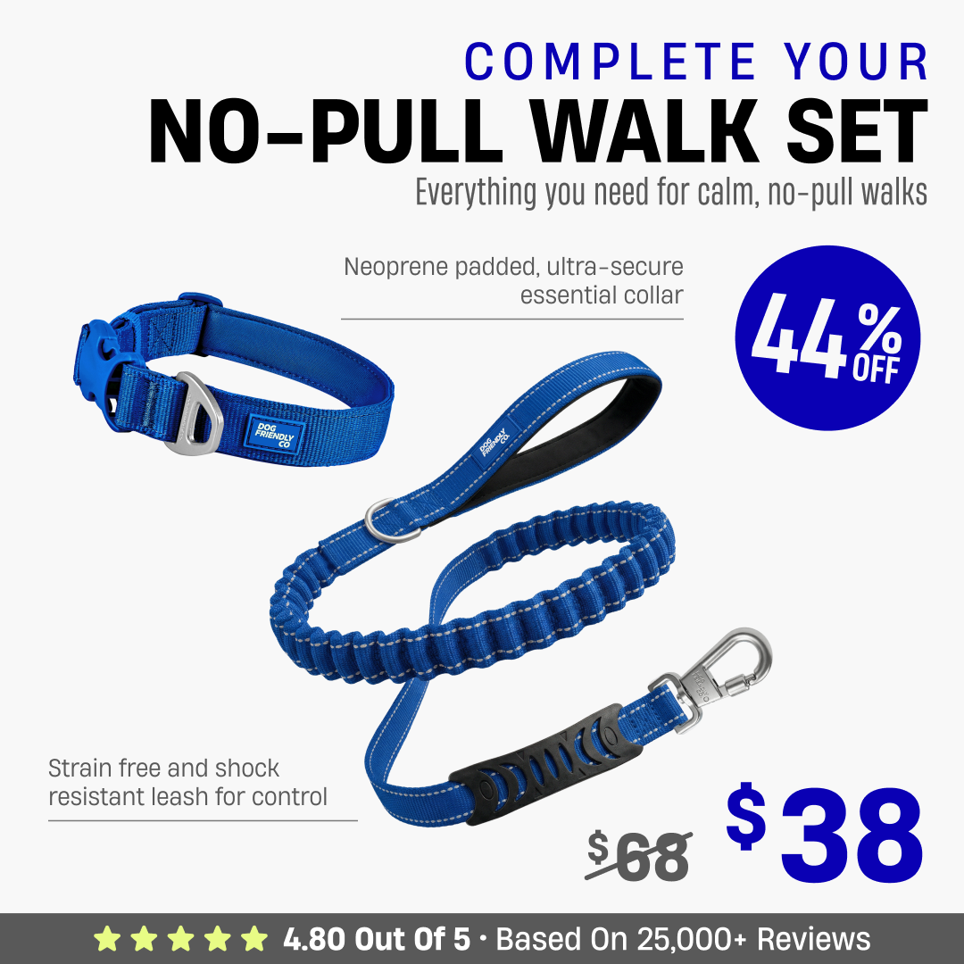 Complete Your No-Pull Walk Set