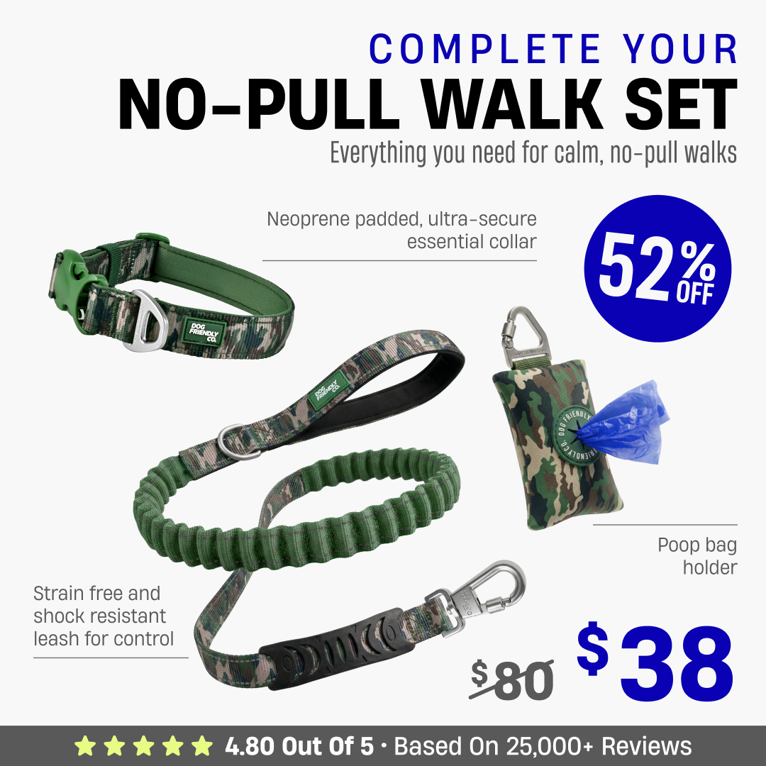 Complete Your No-Pull Walk Set + FREE GIFT