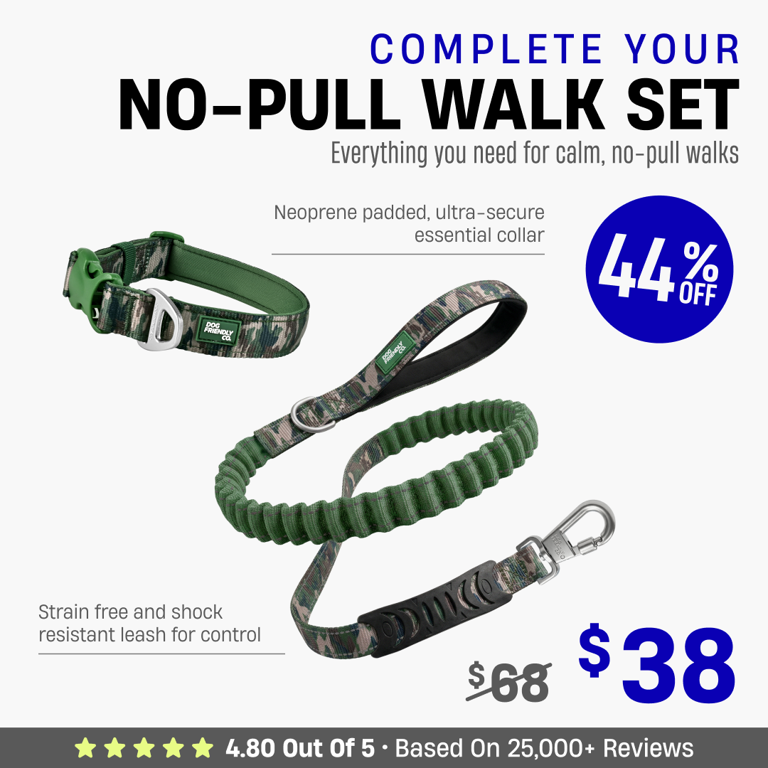 Complete Your No-Pull Walk Set
