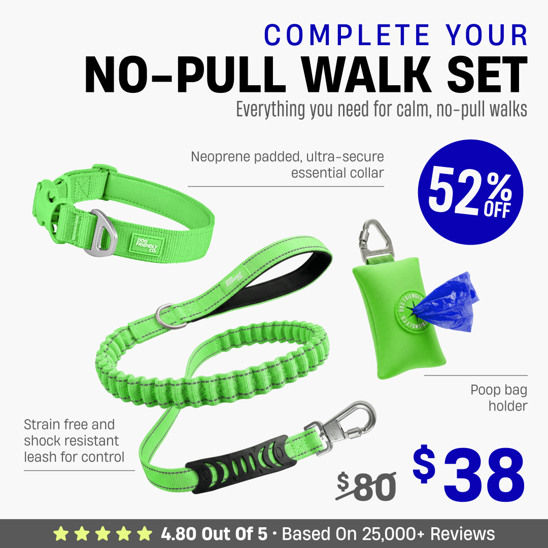 Complete Your No-Pull Walk Set + FREE GIFT