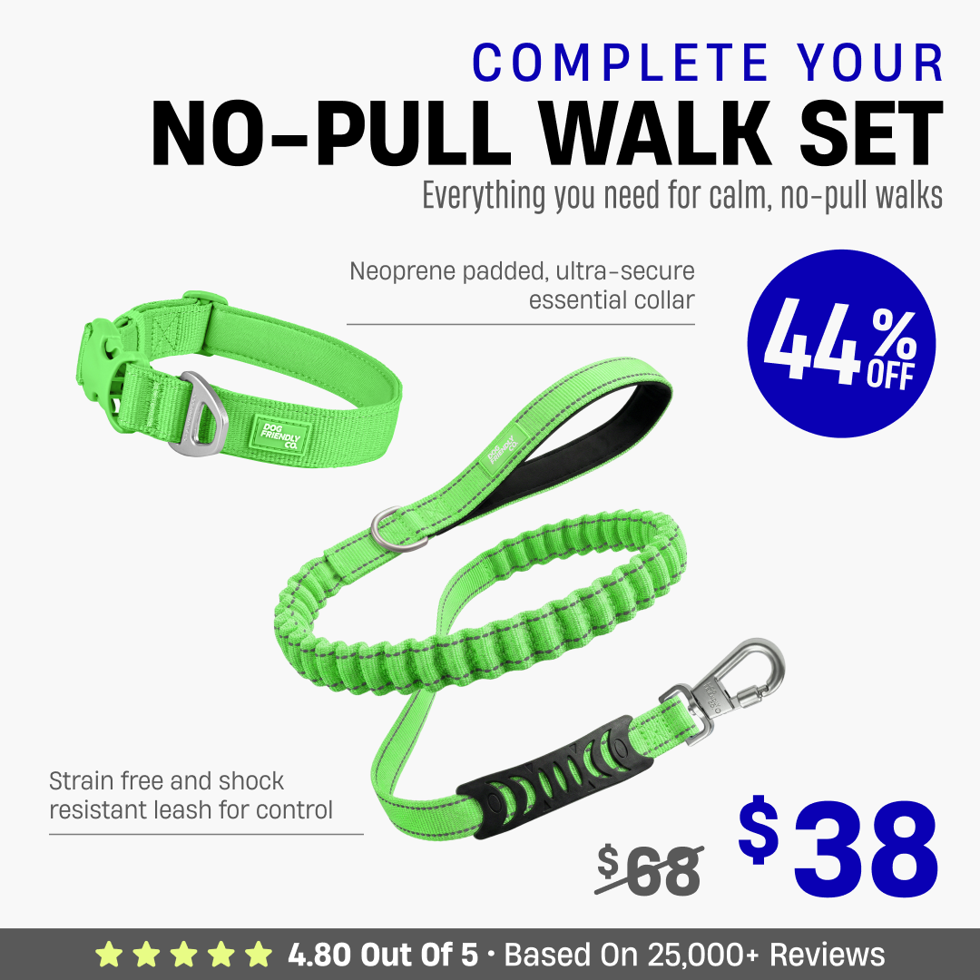 Complete Your No-Pull Walk Set
