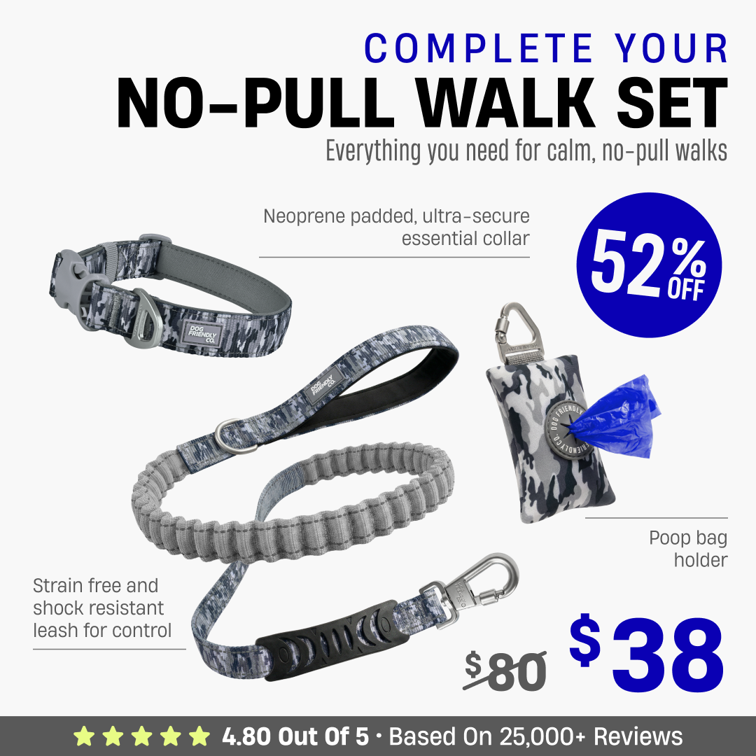 Complete Your No-Pull Walk Set + FREE GIFT