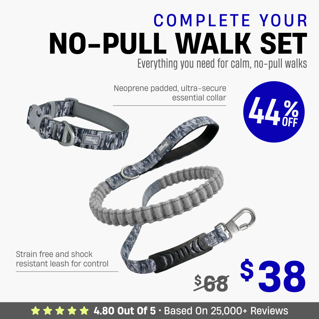 Complete Your No-Pull Walk Set