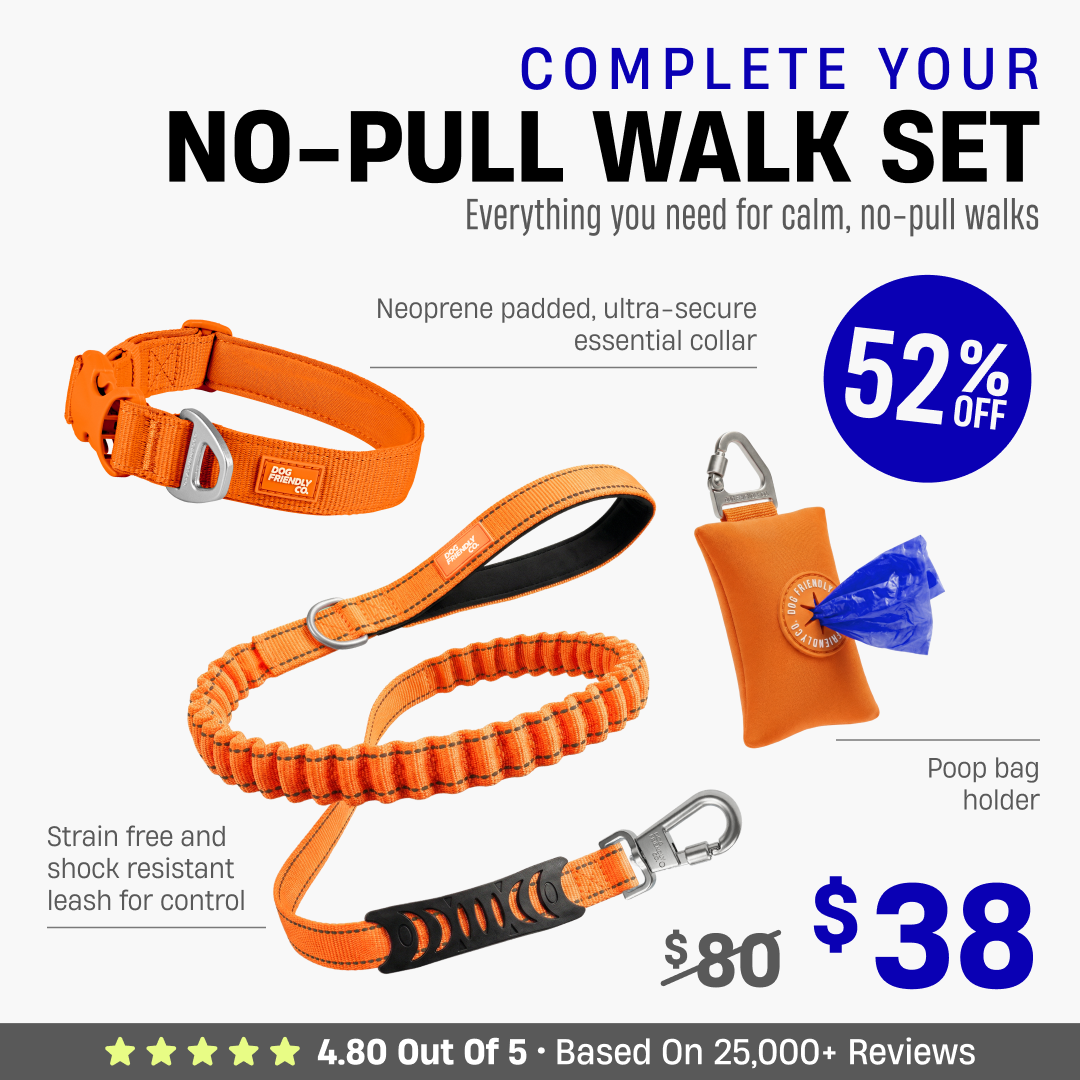 Complete Your No-Pull Walk Set + FREE GIFT