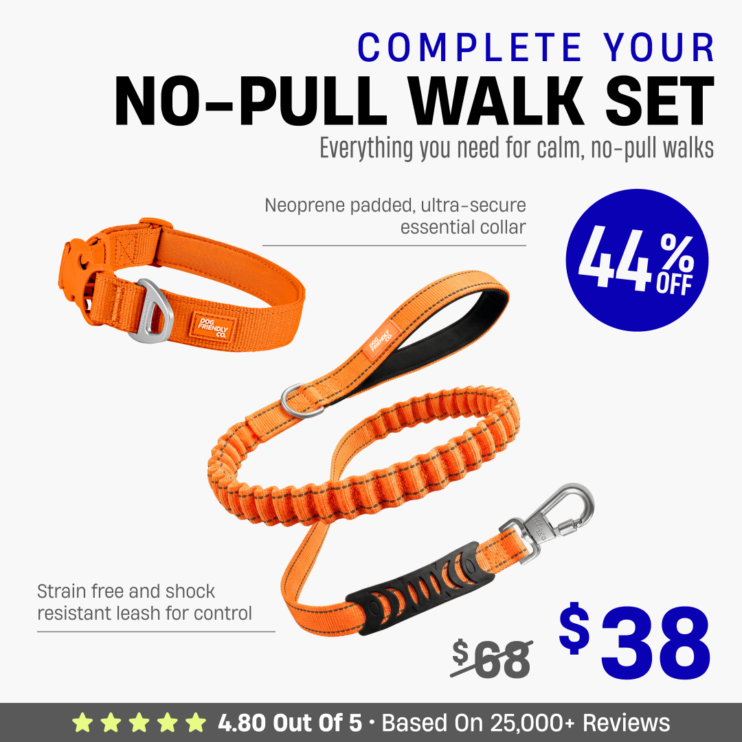 Complete Your No-Pull Walk Set