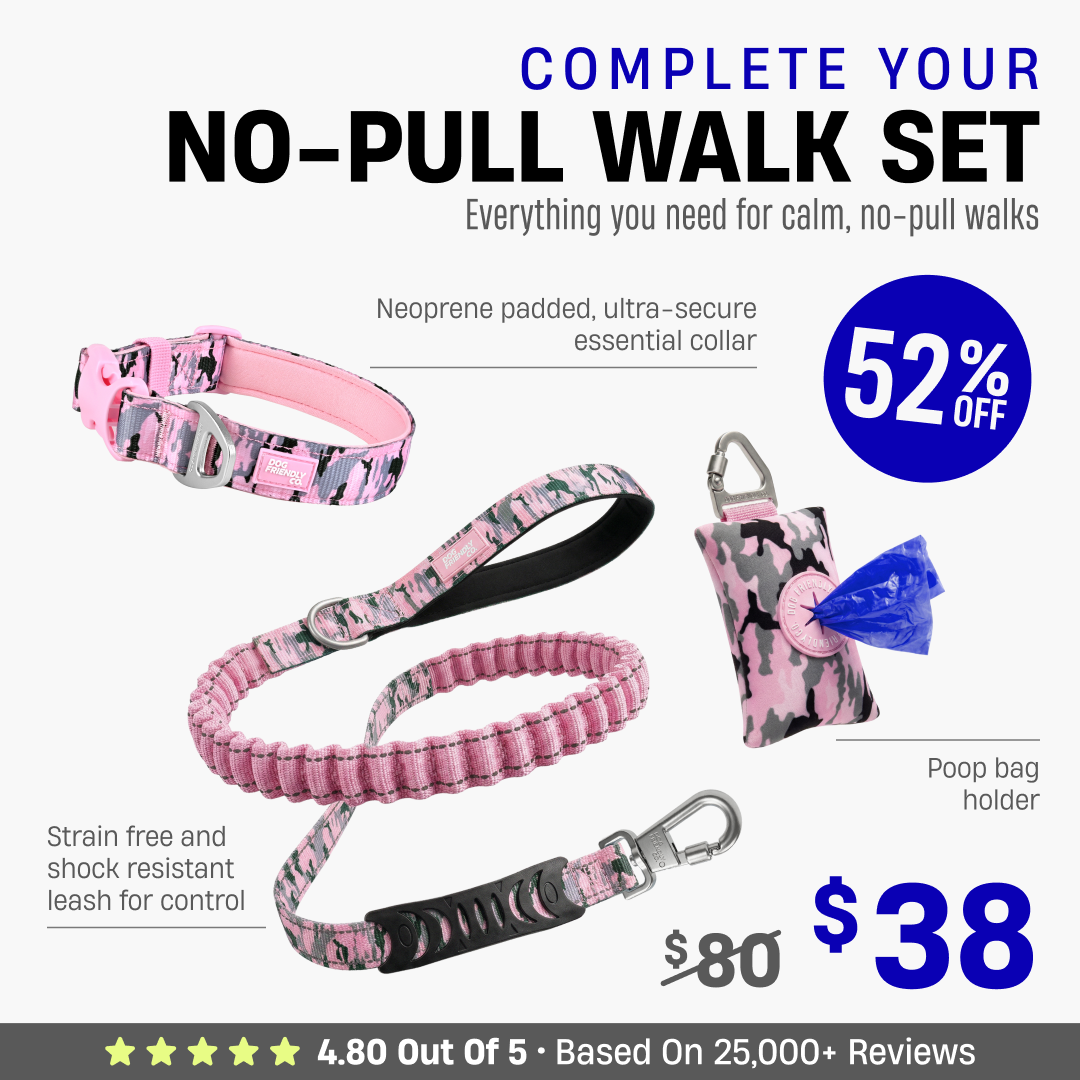 Complete Your No-Pull Walk Set + FREE GIFT