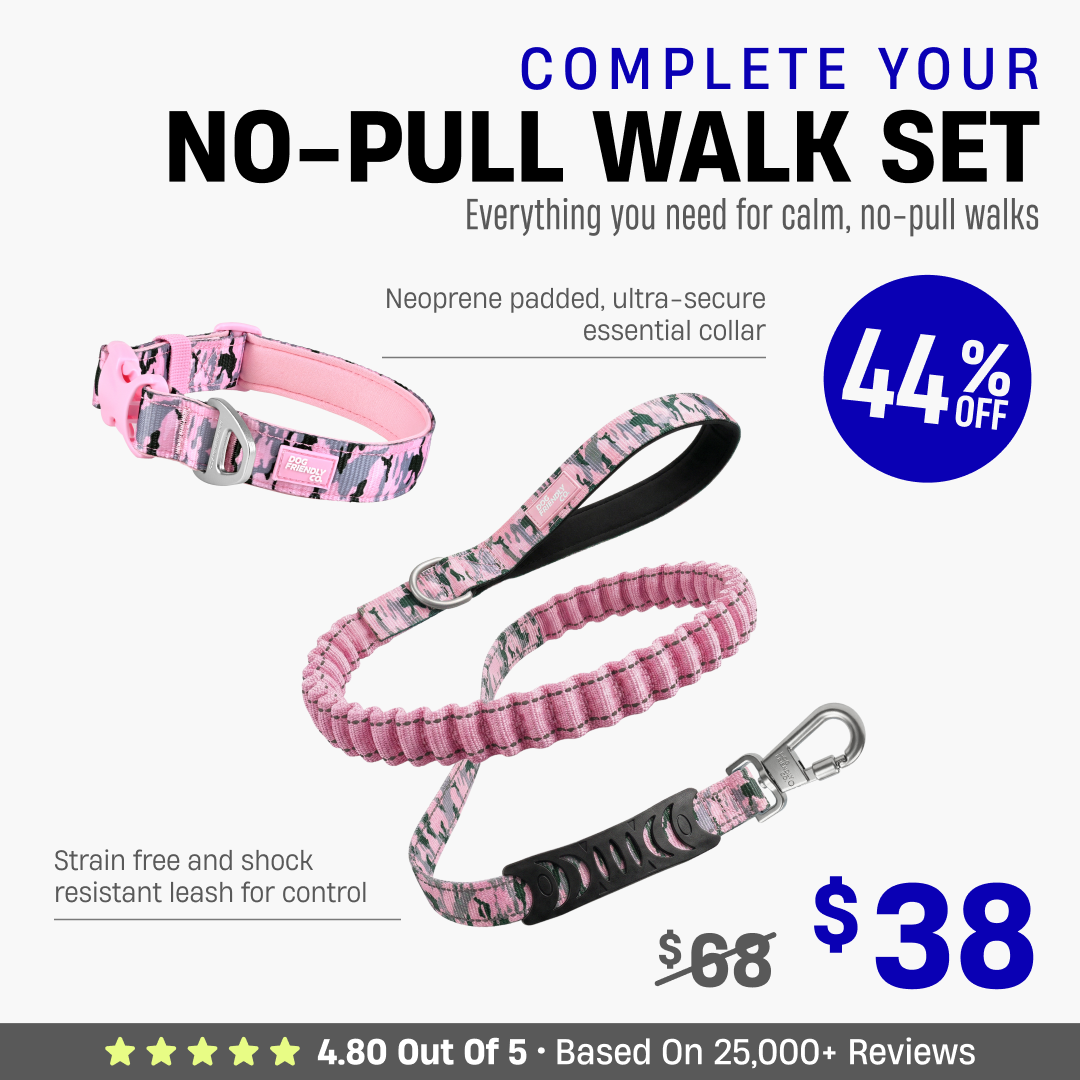 Complete Your No-Pull Walk Set