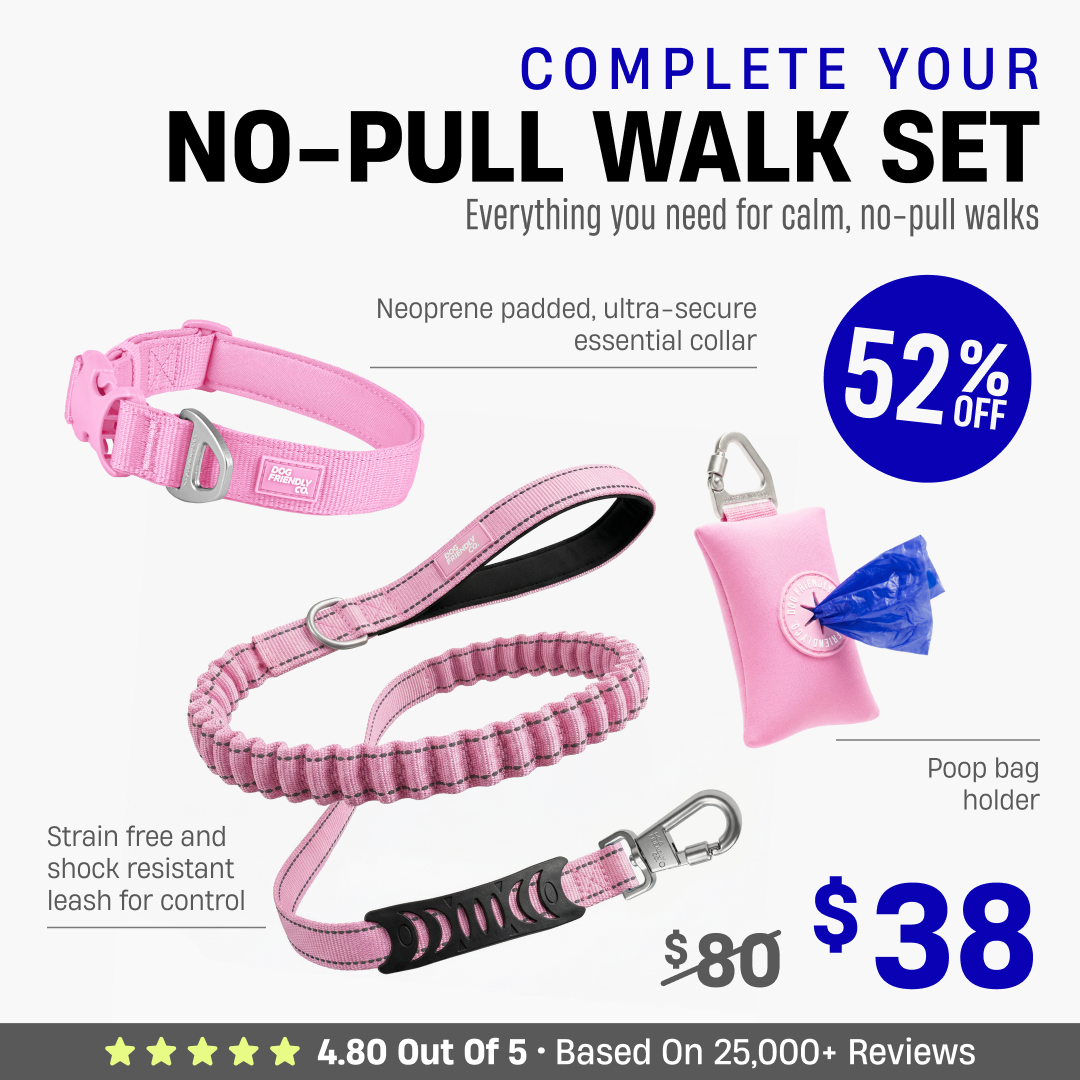 Complete Your No-Pull Walk Set + FREE GIFT