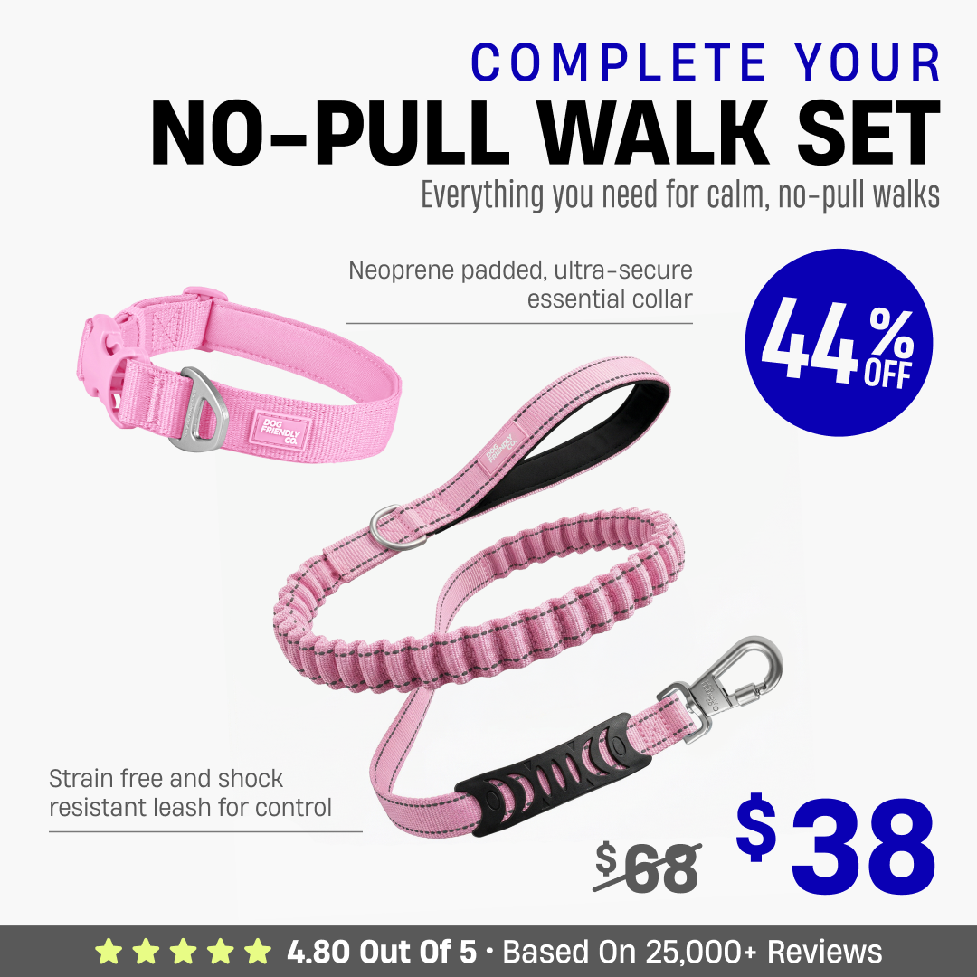 Complete Your No-Pull Walk Set