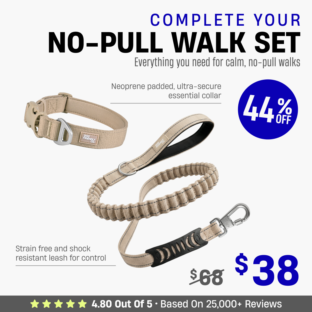 Complete Your No-Pull Walk Set