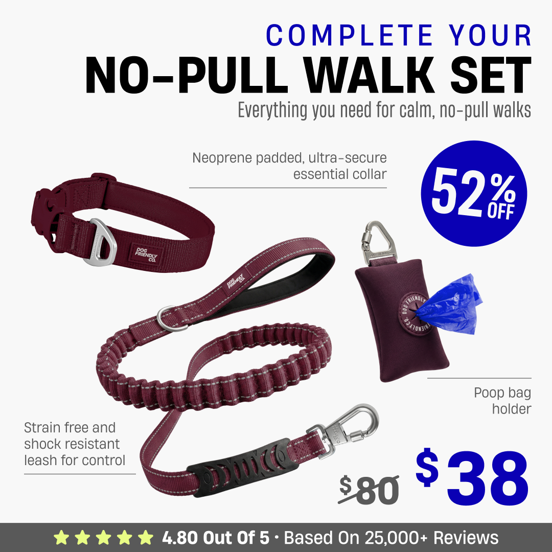Complete Your No-Pull Walk Set + FREE GIFT