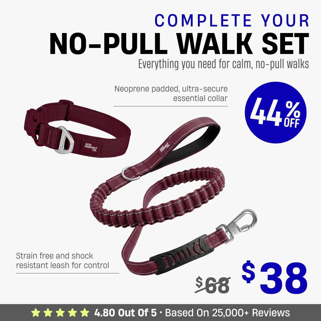 Complete Your No-Pull Walk Set