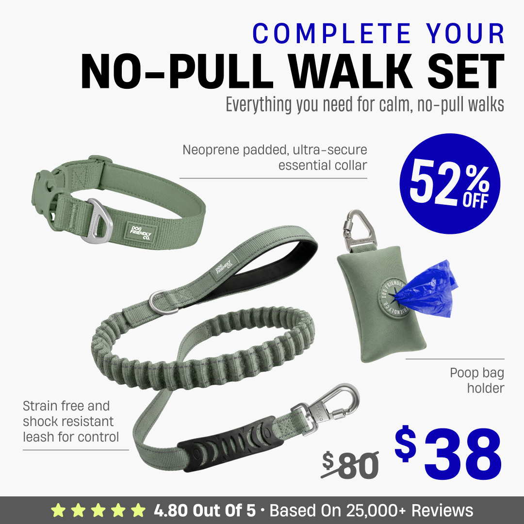 Complete Your No-Pull Walk Set + FREE GIFT