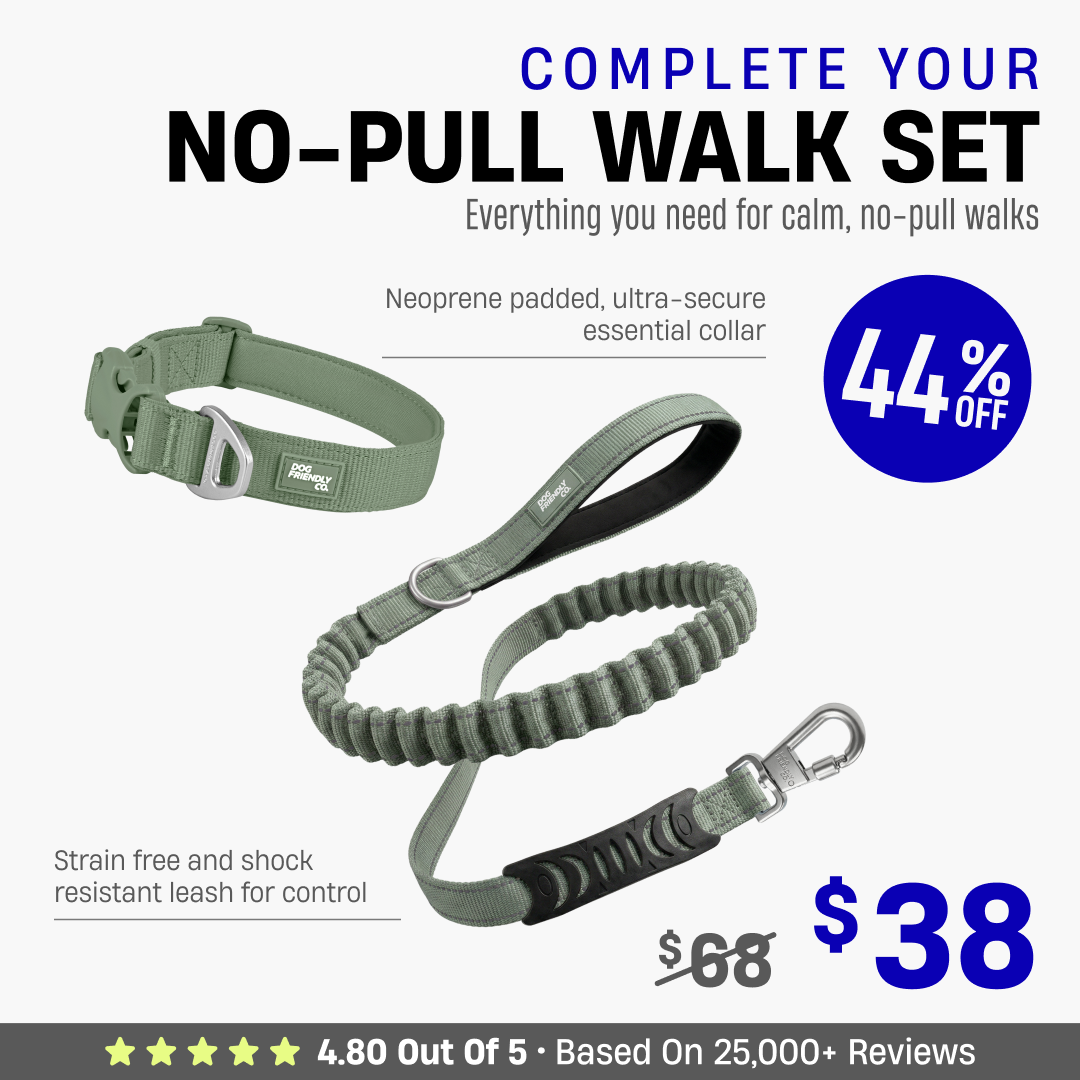 Complete Your No-Pull Walk Set