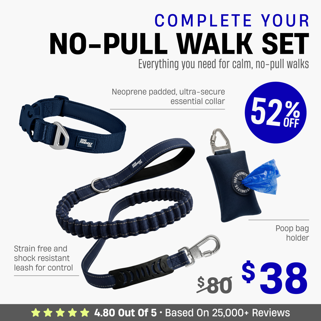Complete Your No-Pull Walk Set + FREE GIFT