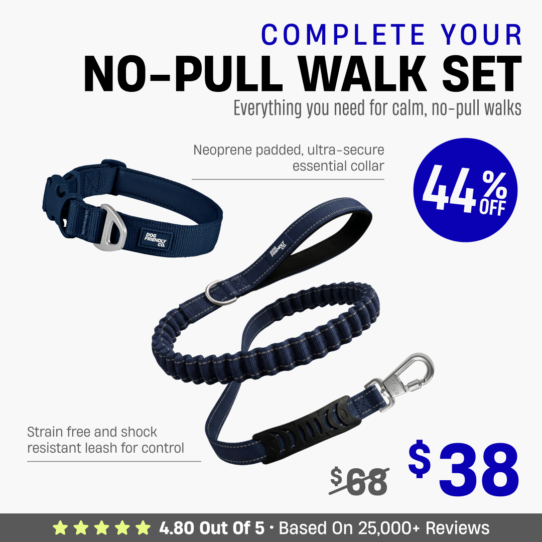 Complete Your No-Pull Walk Set