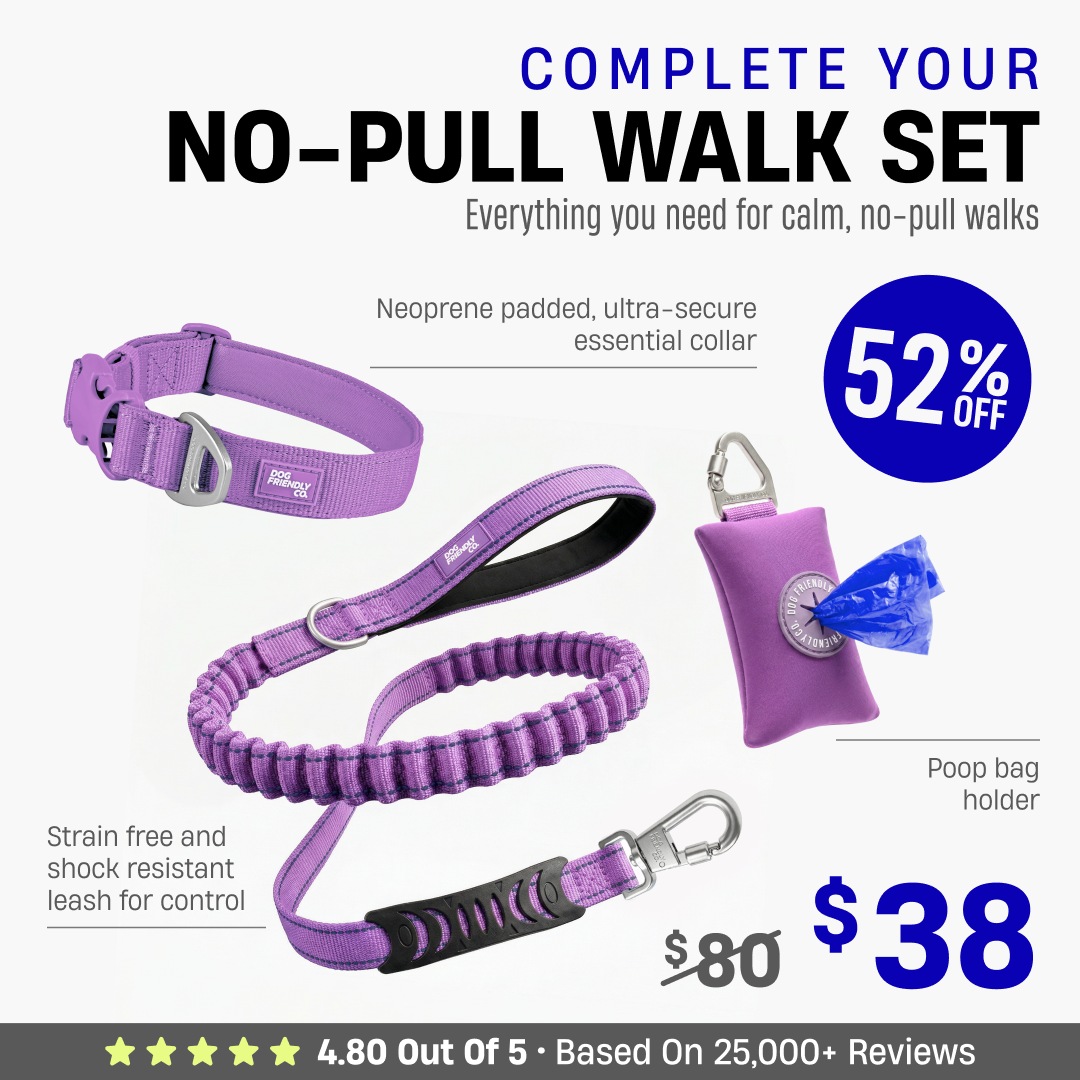 Complete Your No-Pull Walk Set + FREE GIFT