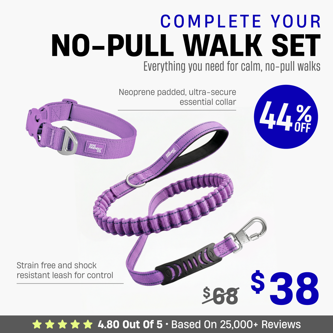 Complete Your No-Pull Walk Set