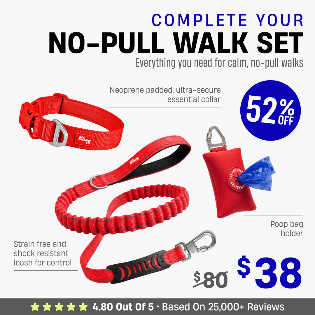 Complete Your No-Pull Walk Set + FREE GIFT