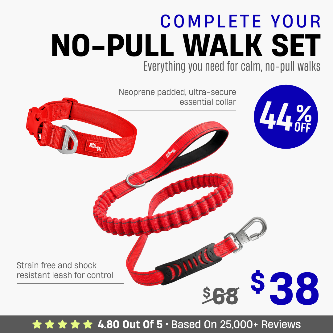 Complete Your No-Pull Walk Set