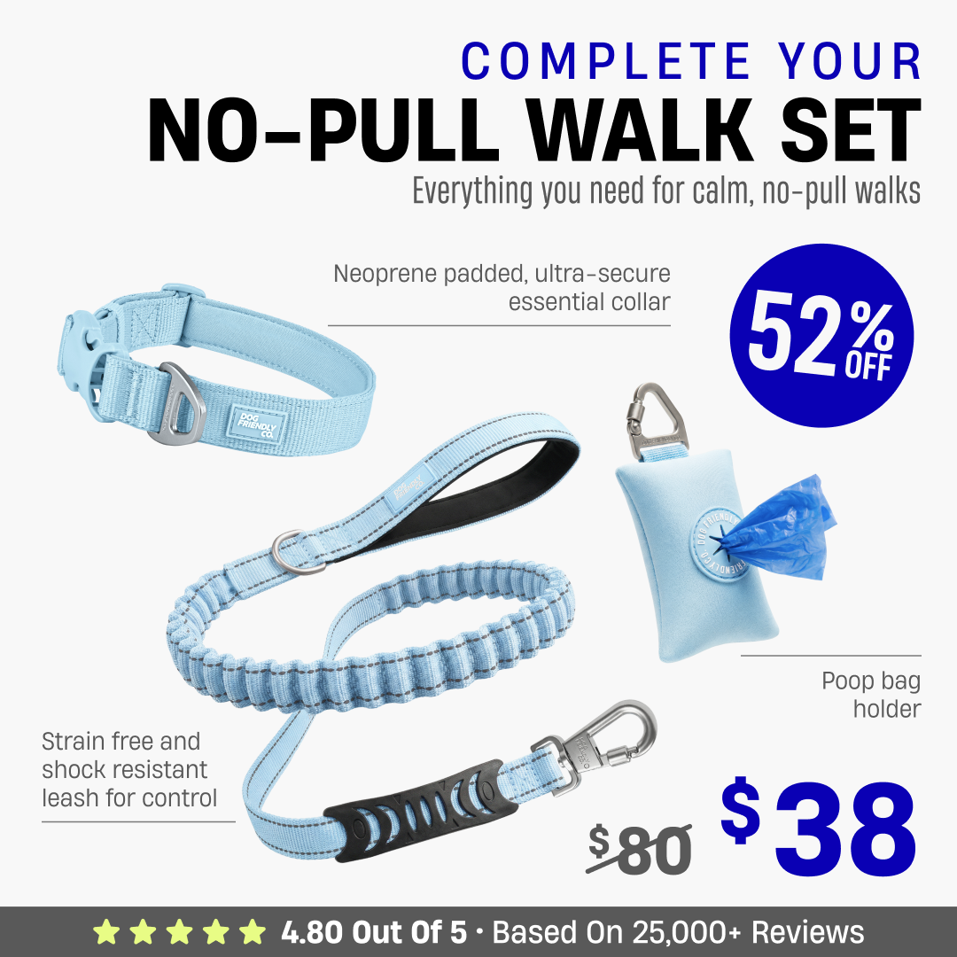 Complete Your No-Pull Walk Set + FREE GIFT