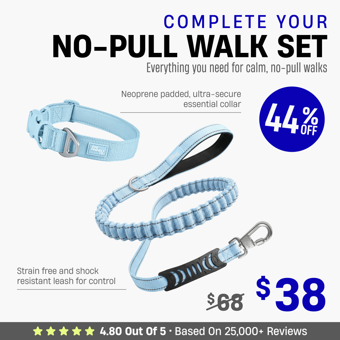 Complete Your No-Pull Walk Set