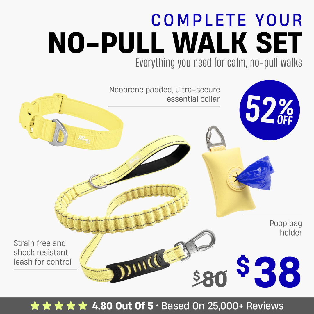 Complete Your No-Pull Walk Set + FREE GIFT