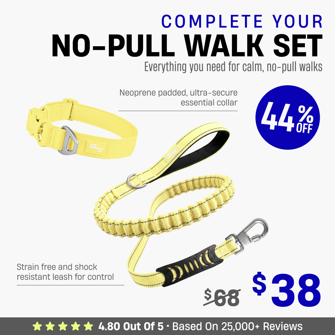 Complete Your No-Pull Walk Set