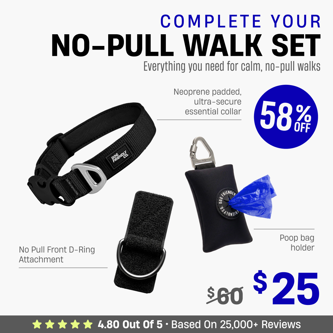 Complete Your No-Pull Walk Set + FREE GIFT