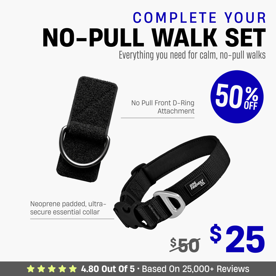 Complete Your No-Pull Walk Set
