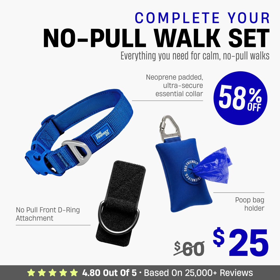 Complete Your No-Pull Walk Set + FREE GIFT