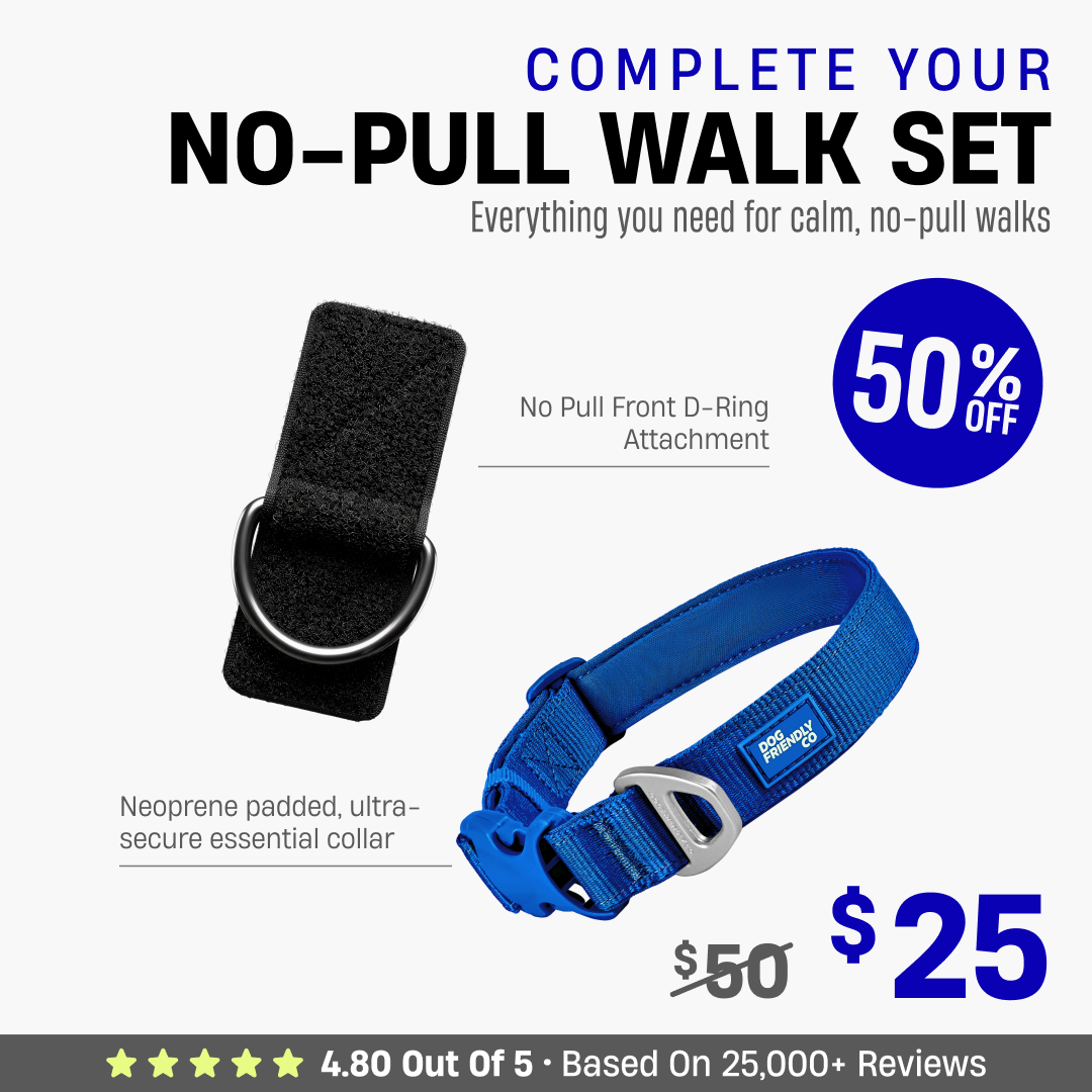 Complete Your No-Pull Walk Set