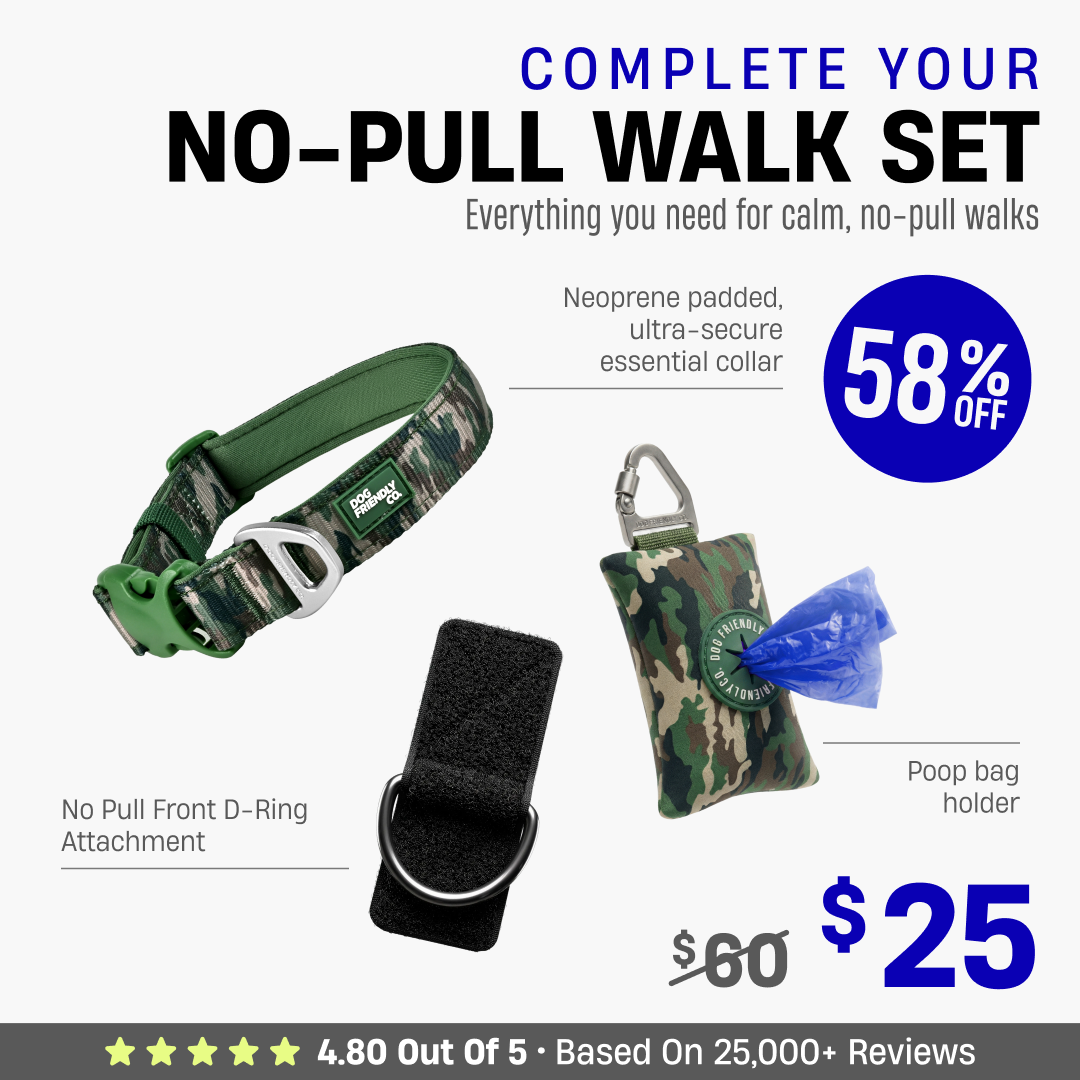Complete Your No-Pull Walk Set + FREE GIFT